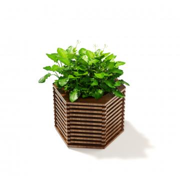 Параметрическая цветочница Шестигранник