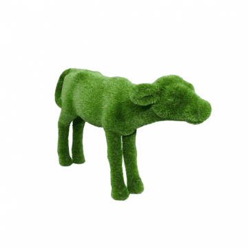 Топиари "Теленок"